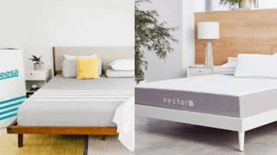 leesa vs nectar mattress review
