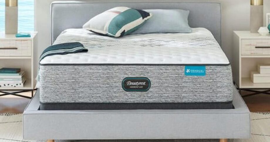 rainier terrace firm hybrid harmony lux mattress
